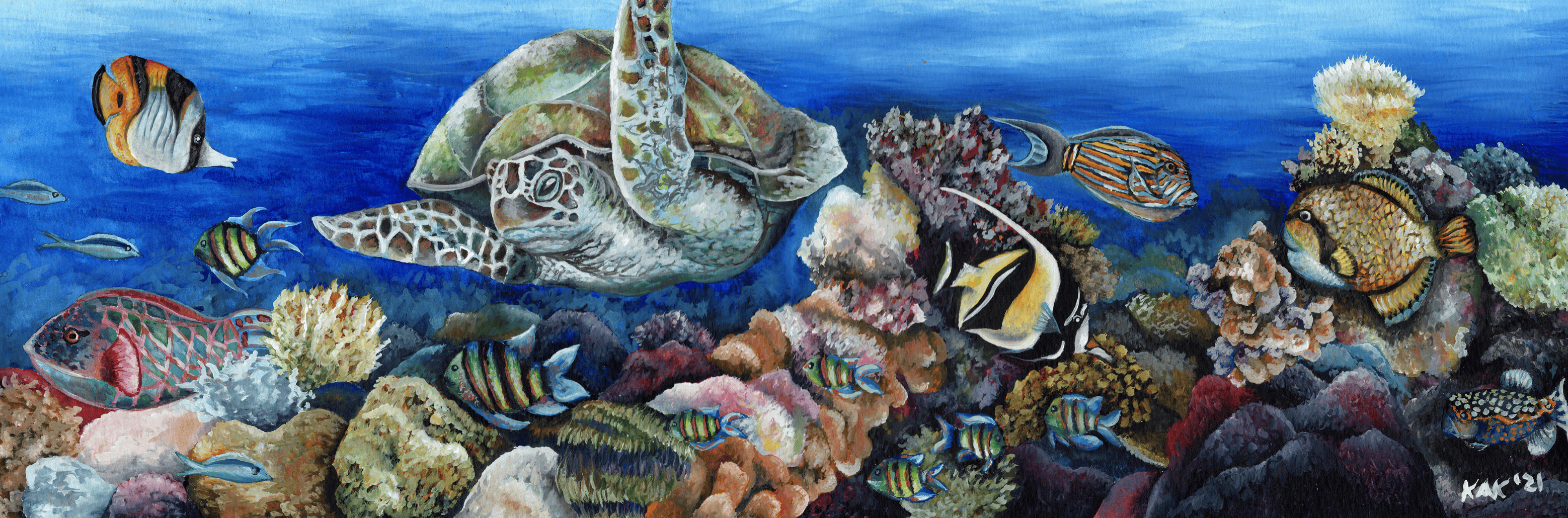 Splendor Beneath the Waves: The Coral Reef That Started It All